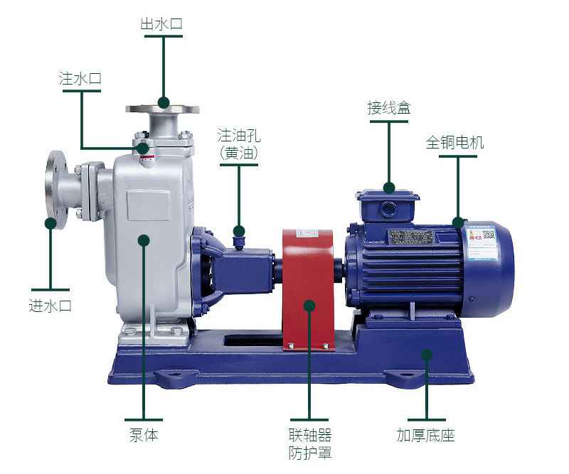 ZW无堵塞自吸排污泵结构图